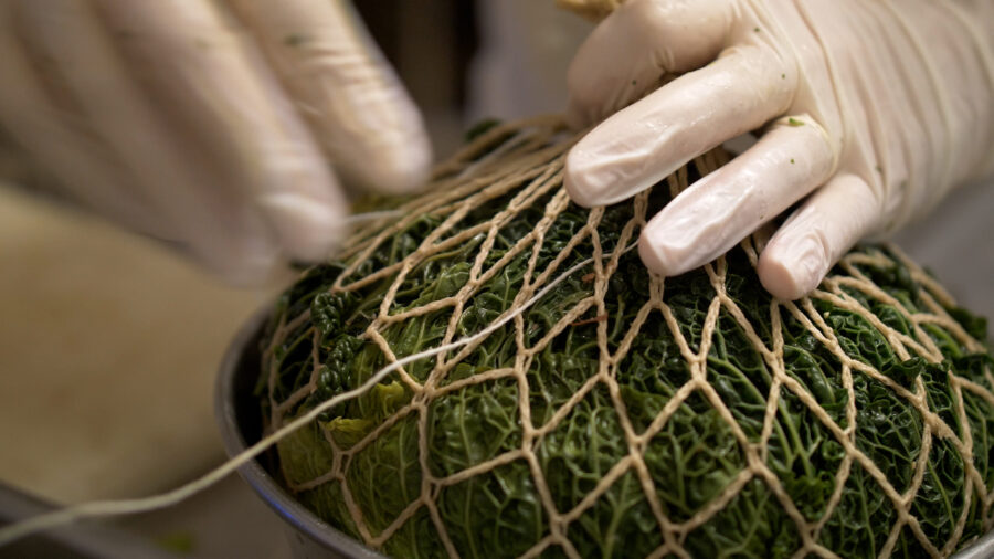 Lou Fassum @villedegrasse